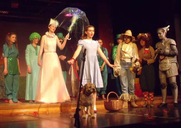 The Wizard of Oz performance at Glebelands School SUS-160208-133233001