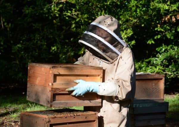 Chris Stubbings, Bee Keeper at Wakehurst SUS-160718-115529001