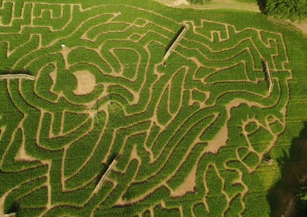 Aerial view of the maize maze inspired by the Disney Pixar movie Finding Dory SUS-160719-160222001