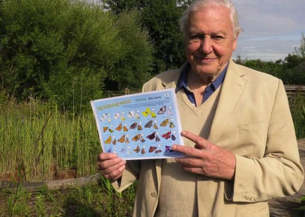 W30C butterflies

Sir David attenborough is sopporting the Big Butterfly Count at the Arundel Wetland Centre