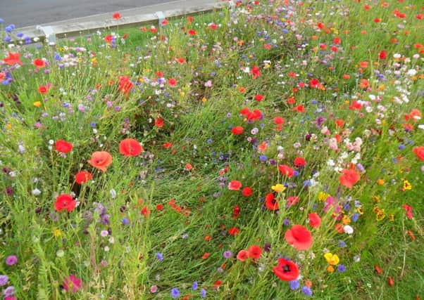 The flower beds have been 'trampled' according to a spokesperson for the parish council.