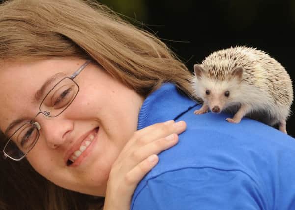 Emily Palmer with pygmy hedgehog "Beau"    Picture by Louise Adams in 2013 C131030-2