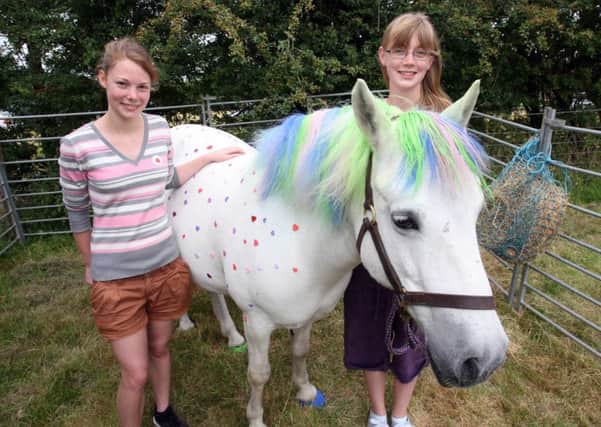 Esme Askew, left, and sister Ayla invite visitors to guess how many spots are on the pony  at Binsteds Strawberry Fair. Pictures: Derek Martin DM16131026a
