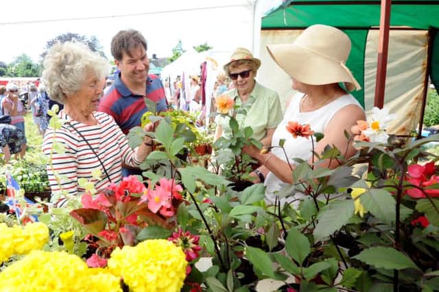 Beautiful flowers drew a crowd to the plant stall at Sidlesham FÃªte and Dog Show. Pictures: Kate Shemilt ks16000857-3