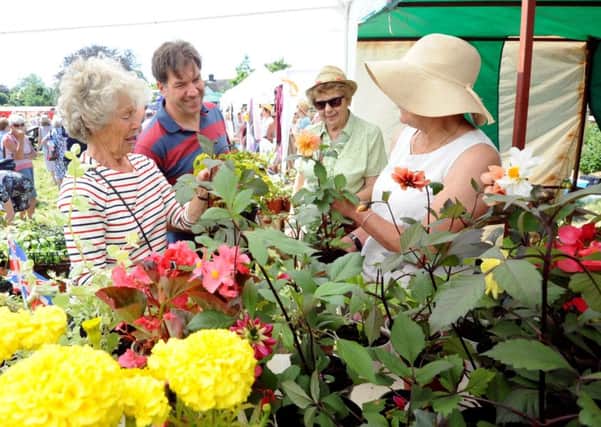 Beautiful flowers drew a crowd to the plant stall at Sidlesham FÃªte and Dog Show. Pictures: Kate Shemilt ks16000857-3