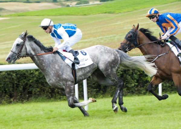Solow won the 2015 Sussex Stakes - who will follow his footsteps this year? Picture by Tommy McMillan