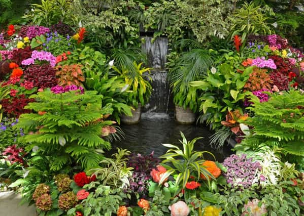 Lush tropical garden with assorted colorful flowers and plantsJPET Stone cross september 2016