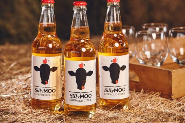 Trenchmore Farm 2016JPE6 Trenchmore farm cowfold Silly moo cider