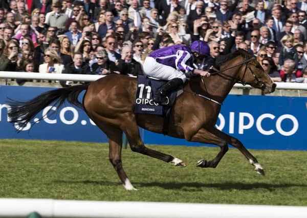 Minding wins the 1000 Guineas / Picture by Mark Westley