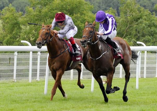 Galileo Gold and The Gurkha go for glory in the Sussex Stakes / Picture by Malcolm Wells