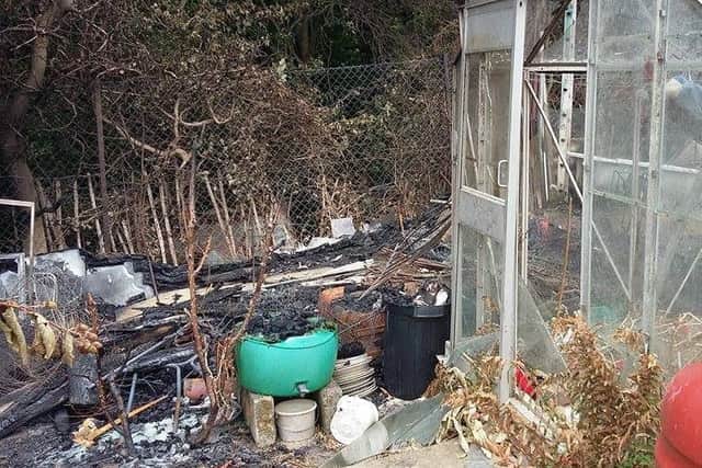 Irina Lazareva's allotment on Vale Road, St Leonards, was destroyed by a fire. Photo by Irina SUS-160208-164643001