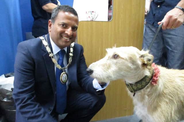Mayor Sujan Wickremaratchi with rescued lurcher Grace SUS-160908-095041001