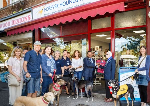 Opening of Greyhound Trust Charity Shop, Haywards Heath SUS-160908-095054001