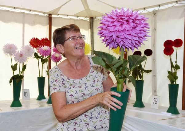 Multiple prize winner Wendy Minton with her giant dahlia. 

Picture: Liz Pearce LP1600471