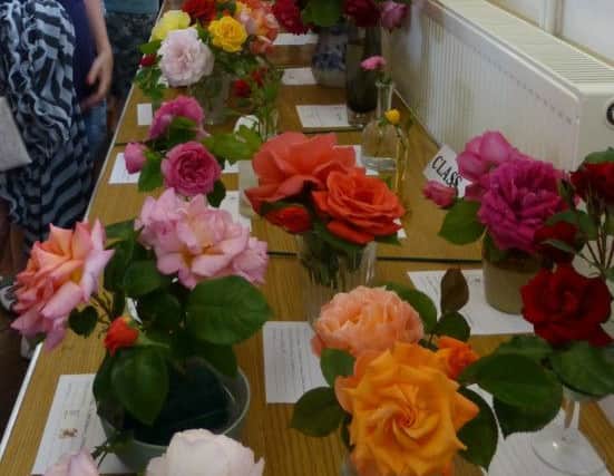 Colourful roses on display at the Village Hall complex
