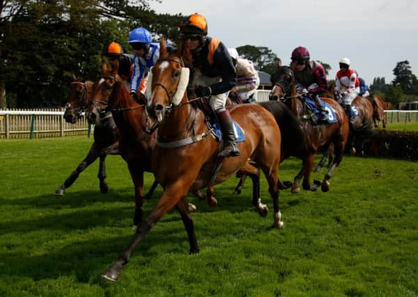 Fontwell will benefit from an all-weather section of the track / Picture by Clive Bennett