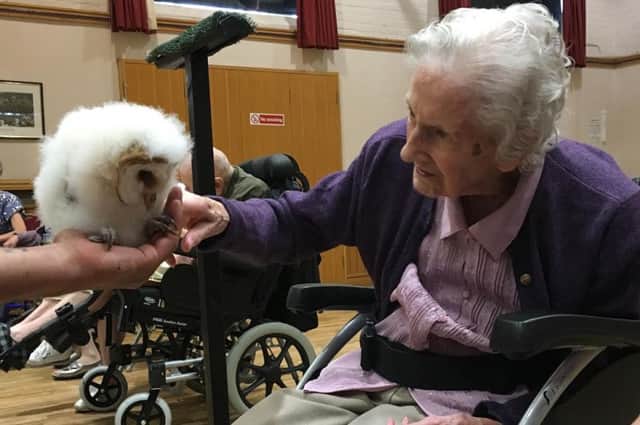 Joan Humphrey with a baby barn owl