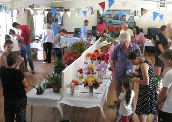 Visitors enjoying the Horsted Keynes Produce and Craft Show SUS-160818-124732001
