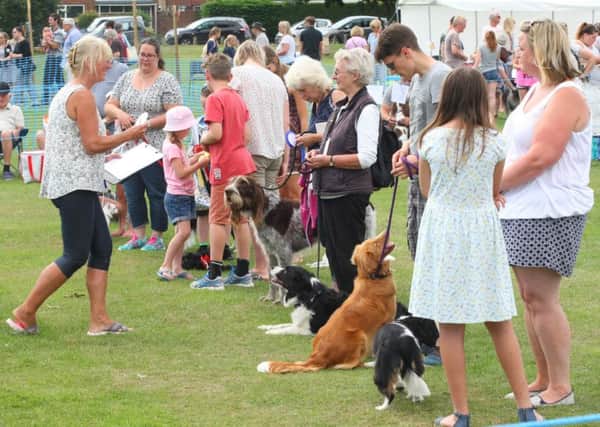 Charity Animal Funday and Dog Show in Bognor Regis