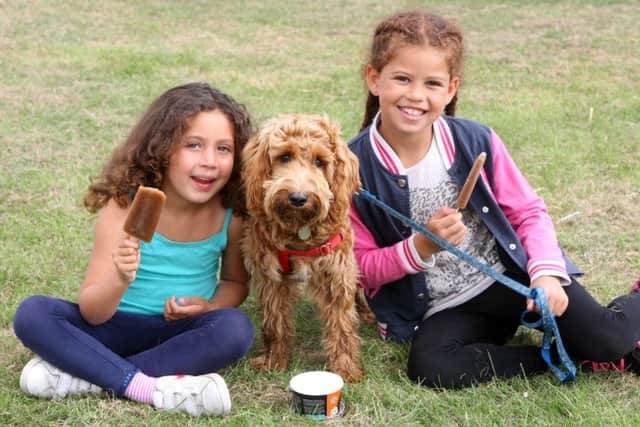 Quiana Jackson, four,  and sister Tia, eight, and Chewie, a Cockapoo