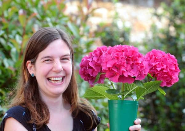Kate Gielers hydrangeas won best flowering shrub at last year's summer show ks1500397-10
