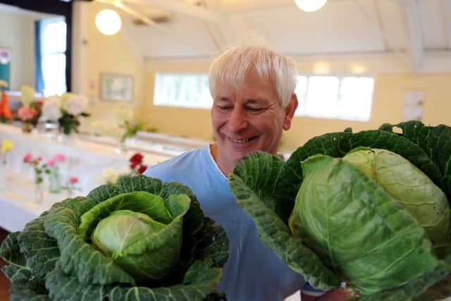 ks16000896-3 Mid Lurg Hort  phot kate
Martin Hutchins with his cabbages.ks16000896-3
need to check spell of surname SUS-160821-100318008