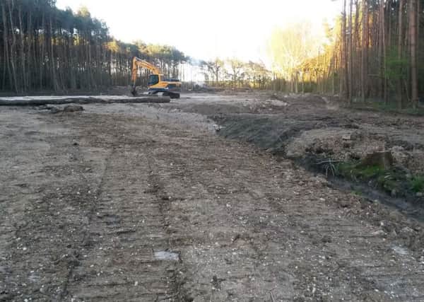Levelling the ground at Pondtail Wood after the illegal felling of trees SUS-160206-162015001