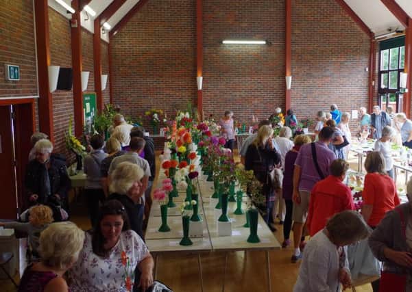 Visitors explore the classes at the flower and produce show