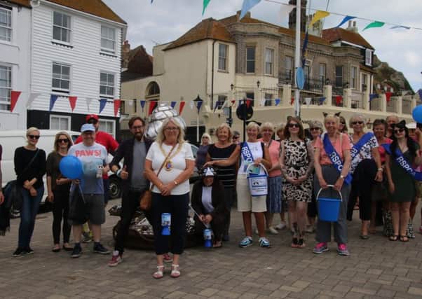 Hastings Mayor Judy Rogers and those taking part in the Bluebell Rige Cat Walk SUS-160831-142036001