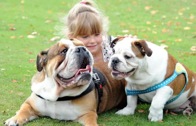 Cheriish-May Ferre, five, enjoying the day with her bulldogs