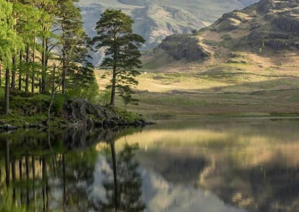 Judi Lion captured stunning reflections in her winning picture of Blea Tarn in the Lake District