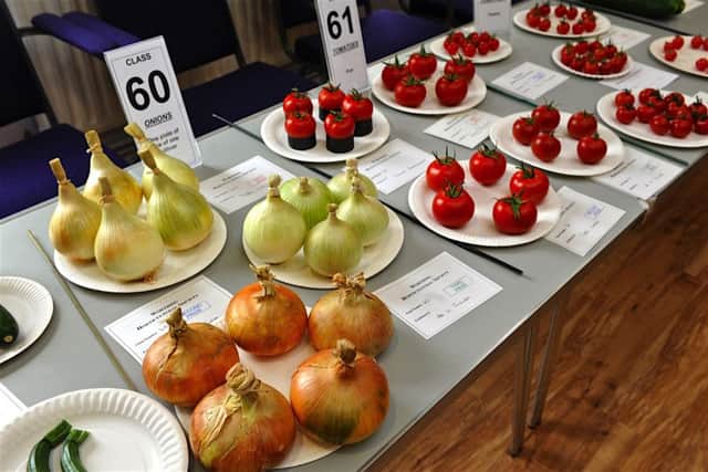 Just some of the vegetables at the Worthing Horticultural Society show