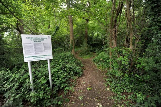 St Mary's Wood, Bexhill. SUS-160106-141534001