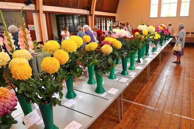 Some of the blooms on show at the Worthing Horticultural Society autumn show 2016. SUS-160509-120838001