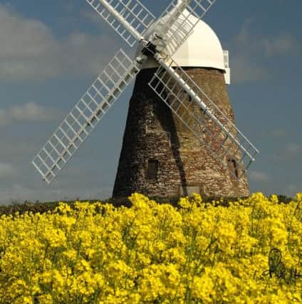 Halnaker Windmill is thought to date back to the 1740s