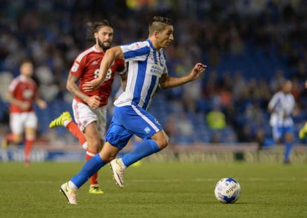 Anthony Knockaert has excelled at the Amex for Albion