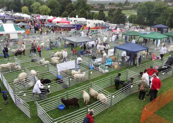 The Findon Sheep Fair took place on September 10 and attracted huge crowds