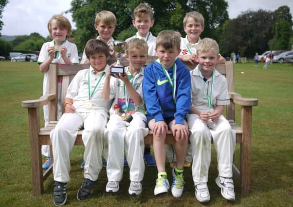 Fernhurst Falcons with their league trophy