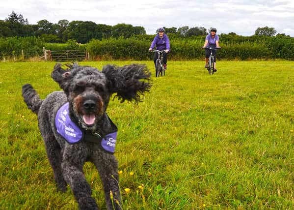 The Pedal for Paws cycling challenge takes place on October 9