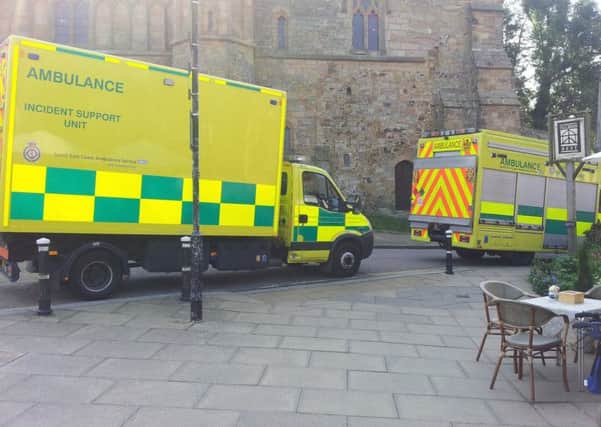 Paramedics parked outside Battle Abbey to attend the injured woman in the woods nearby. Photo by Aurelie and Rose SUS-160915-132525001