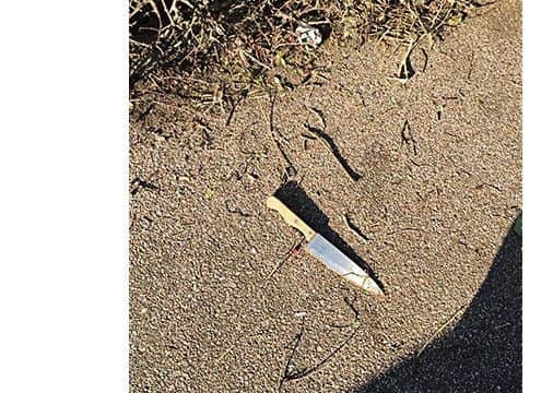 The knife used in the attack was found dumped in a hedge close to the victim's home, according to police