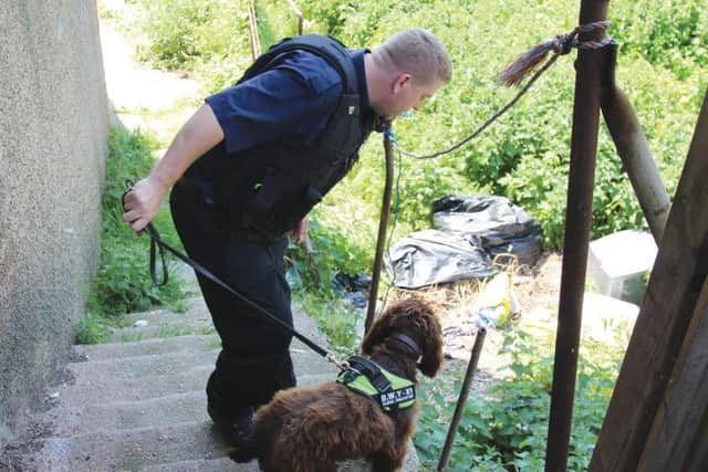 East Sussex Trading Standards sniffer dogs SUS-161109-234125001