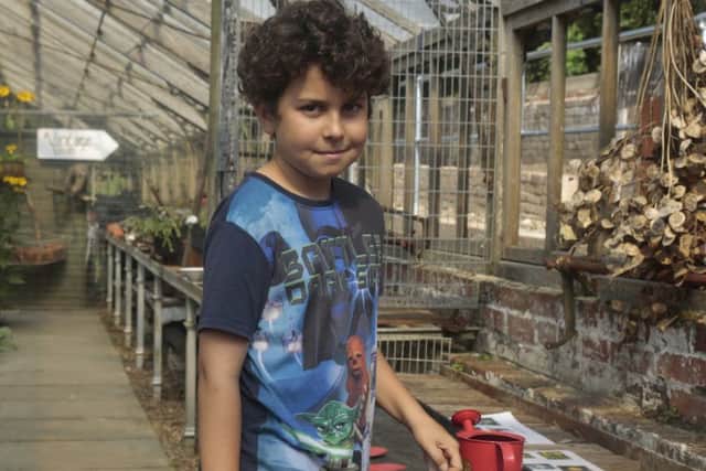 Ethan, aged 9, at the Alexandra Park Greenhouse SUS-160920-142000001