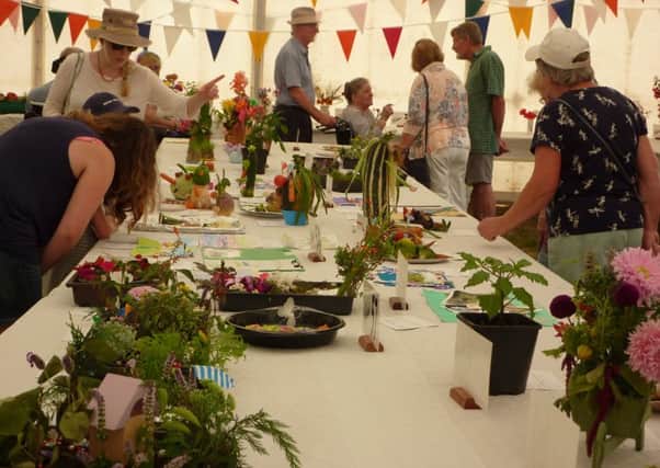 Clapham and Patching Horticultural Society's 72nd summer show