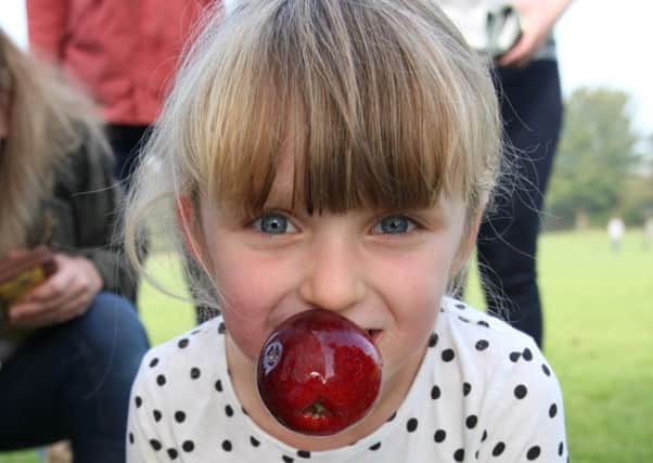 Six-year-old Matilda Clare at last year's Steyning Apple Day. Photo by Derek Martin DM151179595a