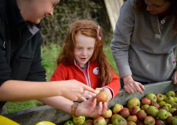 Sorting apples ready to be washed, cut and pressed at last year's Apple Day, left to right, Lisa Trownson from the National Trust, five-year-old Delilah Crawley and Madeleine Crawley. Picture: Scott Ramsey Photography