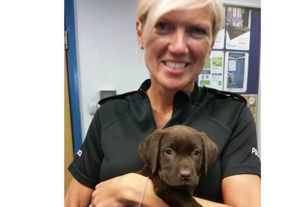 Young pup with Inspector Sue Neilson.