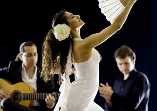 Amor Flamenco