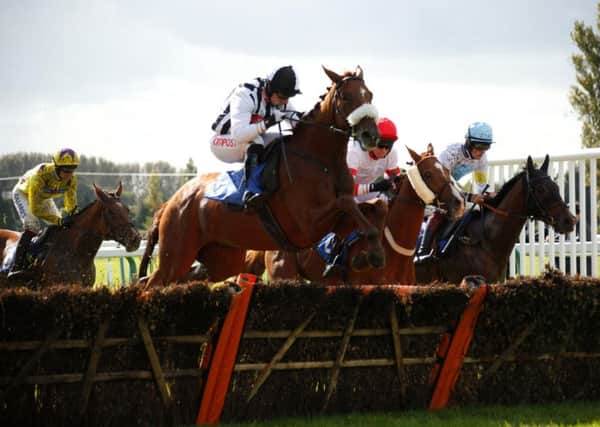Action from the opening race of day two of Fontwell's Oktoberfest / Picture by Clive Bennett
