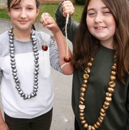 Isabella Searle, left, and Molly Campion, both aged 12 DM16147929a